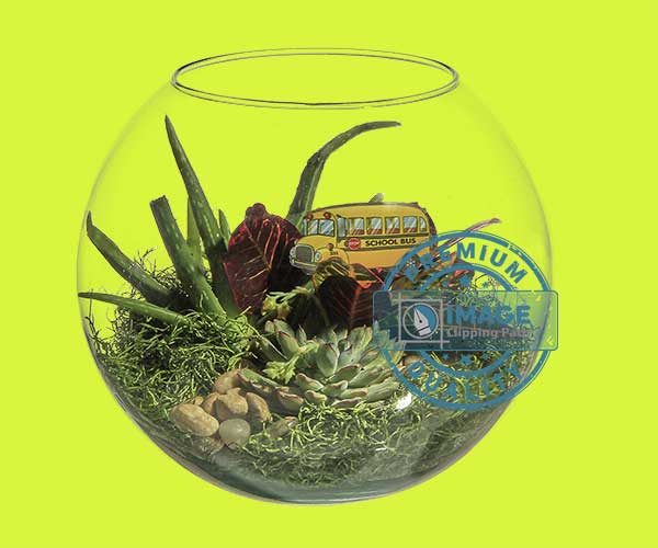 Translucent object mask service by imageclippingpath