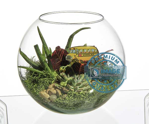 Translucent object mask service original image for imageclippingpath