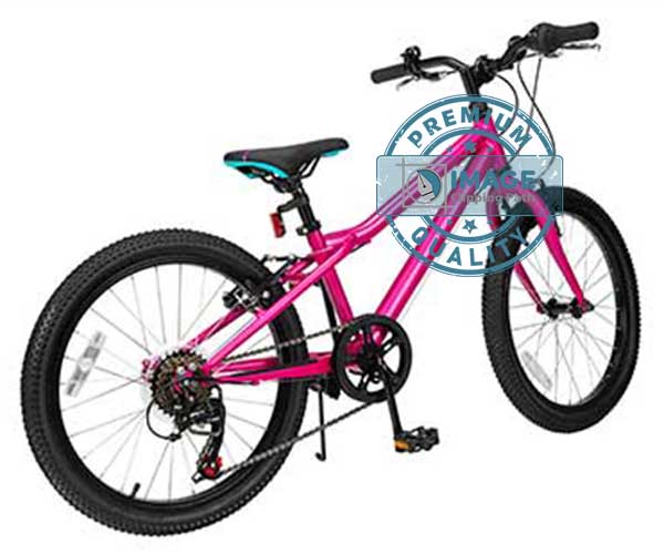 Clipping path service complex after portfolio