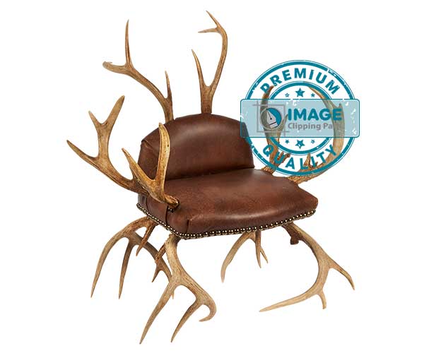 Clipping path service medium after portfolio